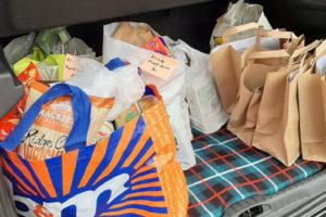 Car food bags